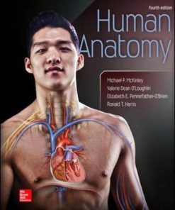Human Anatomy McKinley 4th Edition Test Bank